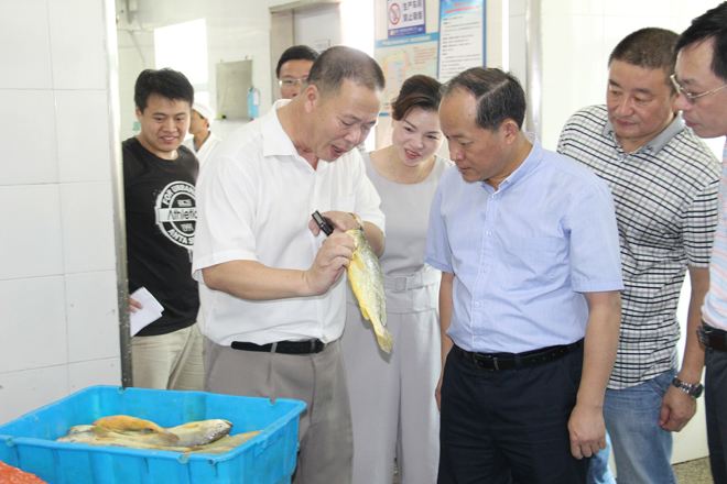 福建“面朝大海”加快流通創(chuàng)新